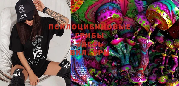 индика Абинск