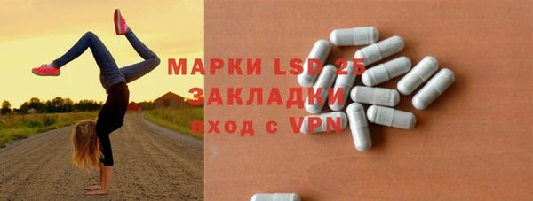 индика Абинск