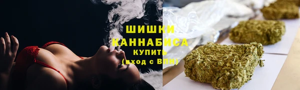 индика Абинск