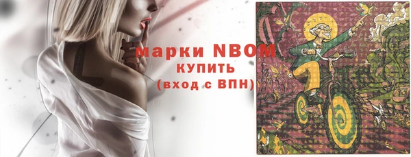индика Абинск